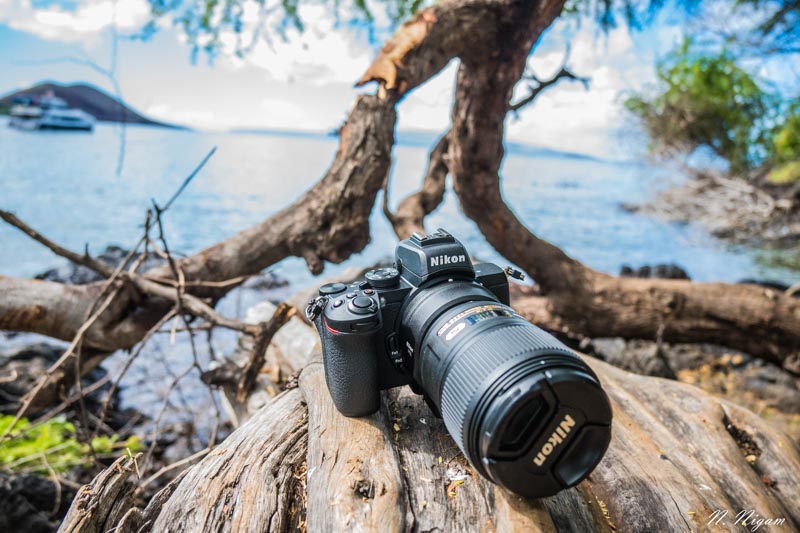 Why the Nikon Z7 is My New Favorite Underwater Camera - Underwater  Photography Guide