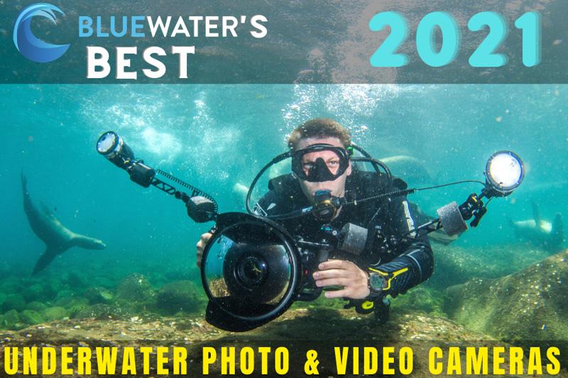 Best Underwater Photo & Video Cameras of 2021 Bluewater Photo