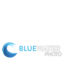EDGE Pro Water Housing for Sony a7R III / a7 III / a9 – AquaTech Imaging  Solutions