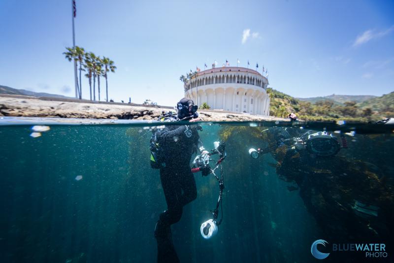 Over-under split photograph made during Bluewater Photo Laowa 10mm underwater testing