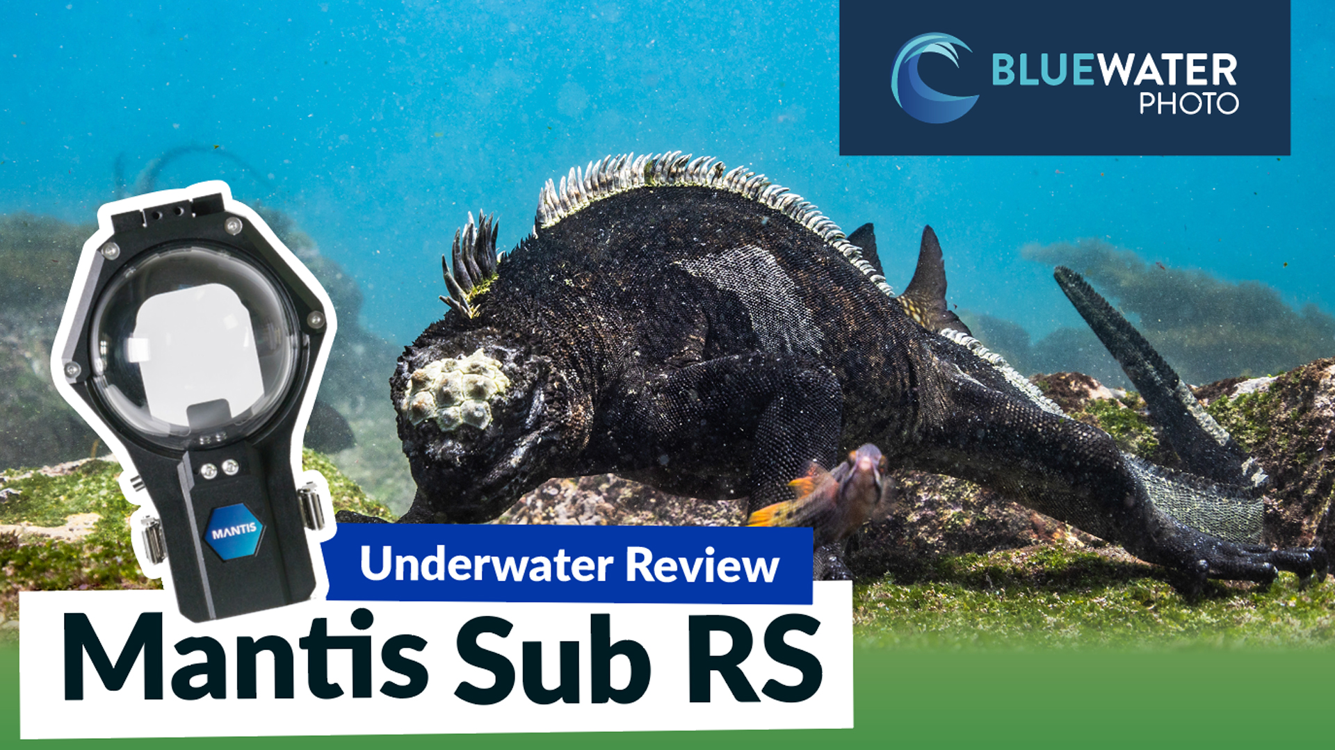 Mantis RS360 dive housing for Insta360 One RS 1-inch 360 Edition