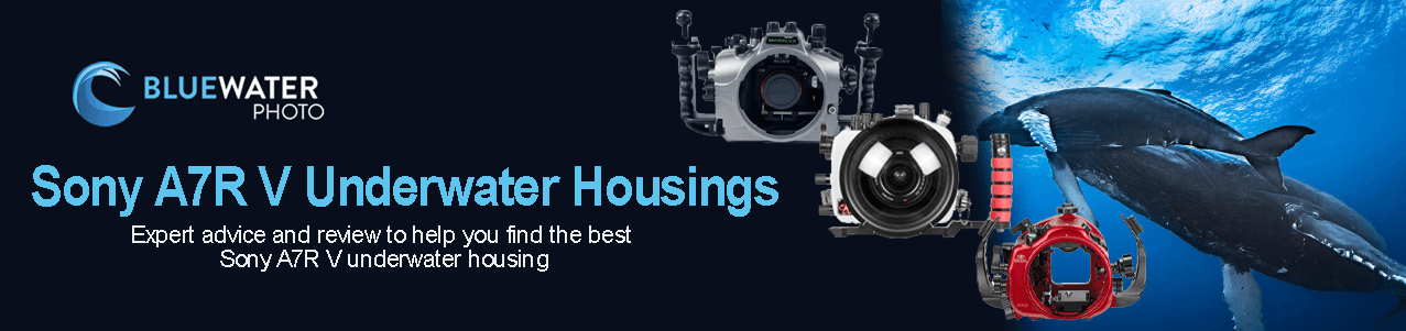 sony-a7rv-header1.png sony-a7rv-header1.png