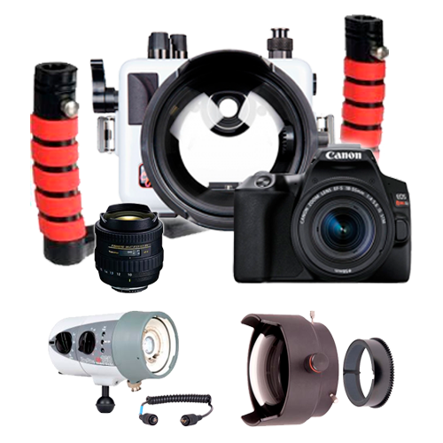 https://cdn11.bigcommerce.com/s-1nktaieb4v/products/35122/images/68621/ikelite-ultimate-ikelite-canon-sl3-bundle-the-worlds-smallest-dslr-wide-angle-package__90841.1660159733.1280.1280.png?c=1