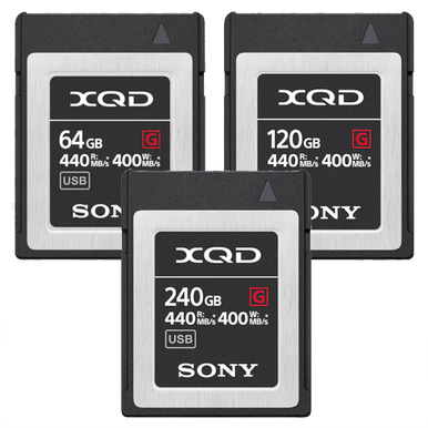 ソニー XQDメモリーカード 240GB QD-G240F | www.forensics-intl.com