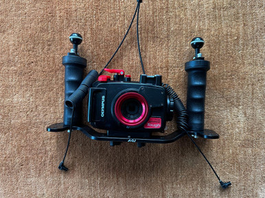 olympus-used-olympus-