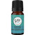 Wild Essentials Focus Essential Oil Blend 10ml