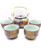 Fuji Merchandise Arita Tea Set 24oz 