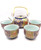 Fuji Arita Tea Set 24oz 