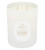 Linnea - Gilded Honey - 2‑Wick Soy Candle - White Thyme, Vanilla, Dark Amber – 11oz