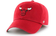 Chicago Bulls