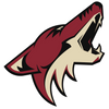 Arizona Coyotes