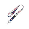 Chicago Cubs Mickey Mouse Disney Lanyard w/ Detachable Buckle by WinCraft at SportsWorldChicago