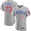 Adbert Alzolay Chicago Cubs Road Authentic Jersey