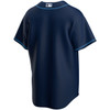 Tampa Bay Rays Alternate Navy Jersey