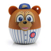 Chicago Cubs Bitty Boomers