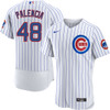 Daniel Palencia Chicago Cubs Home Authentic Jersey