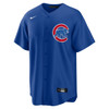 Pete Crow-Armstrong Chicago Cubs Alternate Jersey