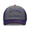 Chicago Cubs Dri-FIT® Rise Structured Swoosh Flex Graphic Cap