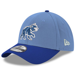 Chicago Cubs 2025 Spring Bear 39THIRTY Flex Cap by New Era®