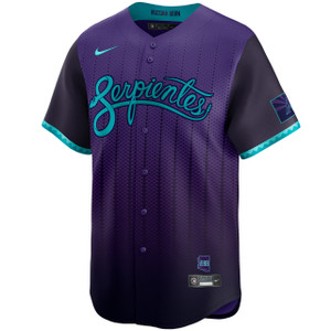 Brandyn Garcia Arizona Diamondbacks City Connect Limited Jersey by