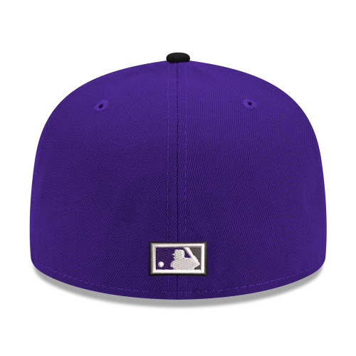 Best Chicago Cubs Hat | World Series 