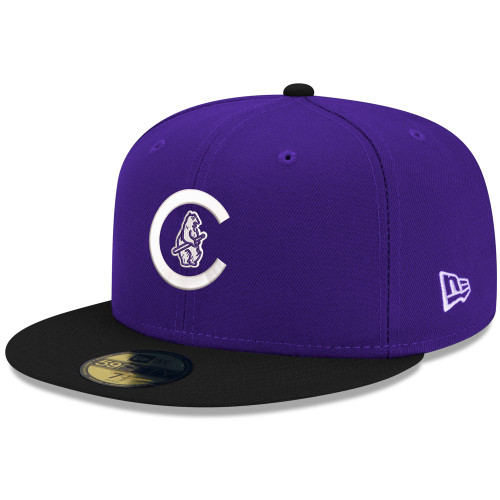 Best Chicago Cubs Hat | World Series 