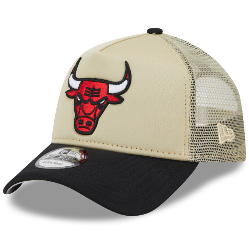 Chicago Bulls All Day A-Frame Trucker 9FORTY Adjustable Hat