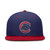Chicago Cubs Dri-FIT® True Structure Round Bill Fitted Hat