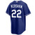 Clayton Kershaw Los Angeles Dodgers Royal Alternate Jersey by NIKE® at SportsWorldChicago
