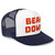 Bear Down Snapback Trucker by OTTO®