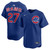 Seiya Suzuki Kanji Chicago Cubs Youth Alternate Limited Jersey by NIKE® at SportsWorldChicago