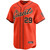 Luis Matos San Francisco Giants Alternate Orange Limited Jersey by NIKE® at SportsWorldChicago
