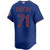 Tyler Rogers New York Mets Alternate Royal 2025 Limited Jersey by NIKE® at SportsWorldChicago