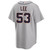 Chase Lee Detroit Tigers Road Jersey by NIKE® at SportsWorldChicago