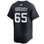 Jose Urquidy Detroit Tigers Alternate Navy Jersey by NIKE® at SportsWorldChicago