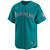 Carlos Vargas Seattle Mariners Alternate Green Limited Jersey by NIKE® at SportsWorldChicago