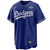 Brusdar Graterol Los Angeles Dodgers Royal 2025 Alternate World Series Jersey by NIKE® at SportsWorldChicago