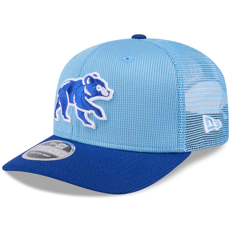 Chicago Cubs 9SEVENTY™ Spring Bear Snapback | Official MLB®