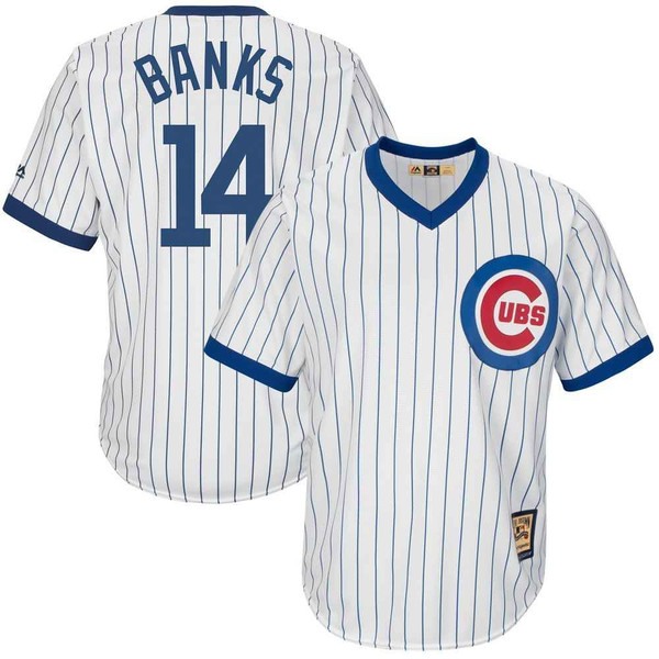 Ernie Banks Chicago Cubs Mitchell & Ness Coopertown 1969 Pinstriped Jersey  Sz 50