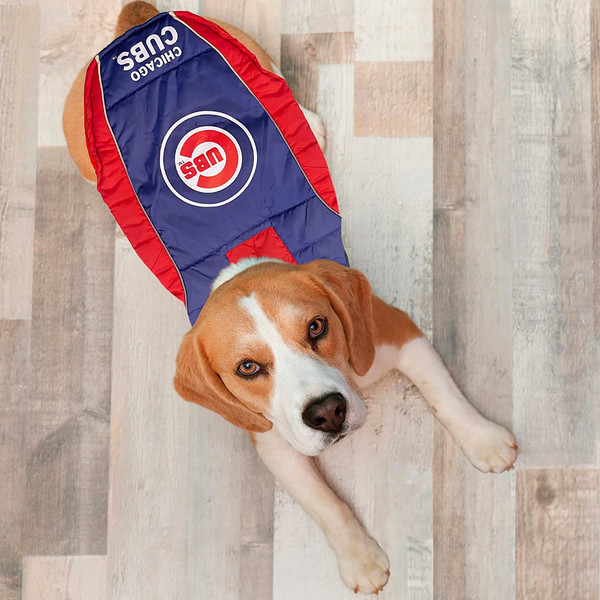 MLB Chicago Cubs Dog Collar, Medium