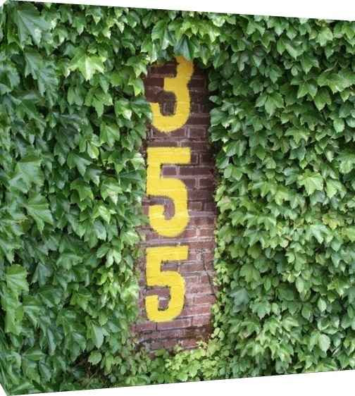 Wrigley Field Bricks Ivy 20