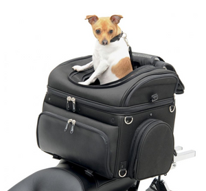 Saddlemen Pet Carrier & Cargo Bag
