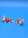 mini armadillos