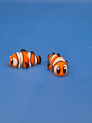 Mini Fish
