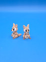 Mini Kangaroo