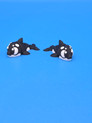 Mini Orca
