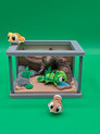 Terrarium