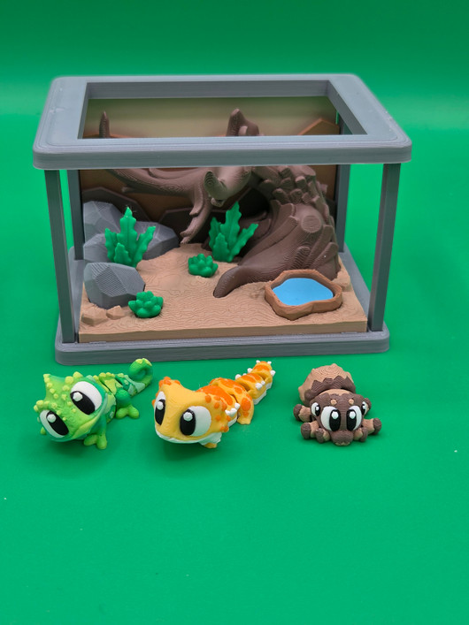 Terrarium