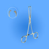 Surgical Thoms-Allis Tissue Forceps, SPGO-001A