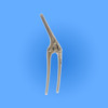 Surgical Payr Pylorus Clamp, SPII-017